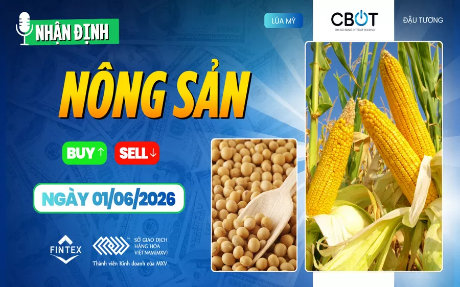 NHẬN ĐỊNH THỊ TRƯỜNG NÔNG SẢN NGÀY 01/06/2026